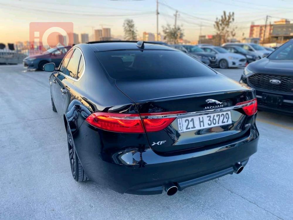 جاكوار XF